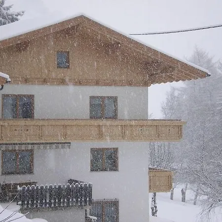 Apartament Wolf *