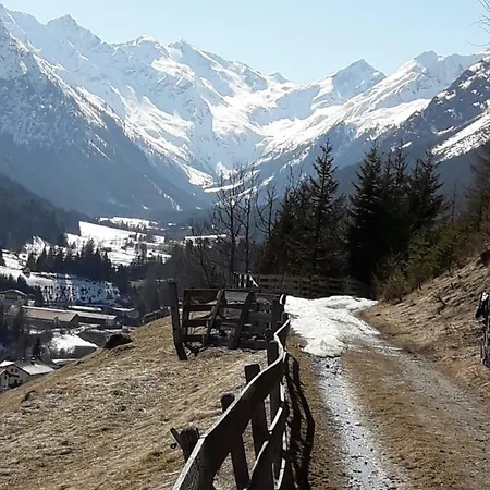 Wolf Appartement Trins