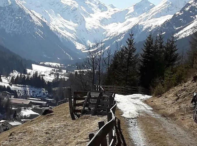 Wolf Apartment Trins